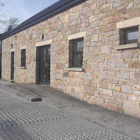 Willa Rathgillen House Nobber Zewnętrze zdjęcie